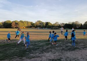 beavers running at the park