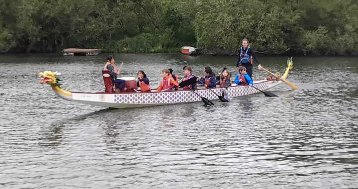Cubs Dragon Boating