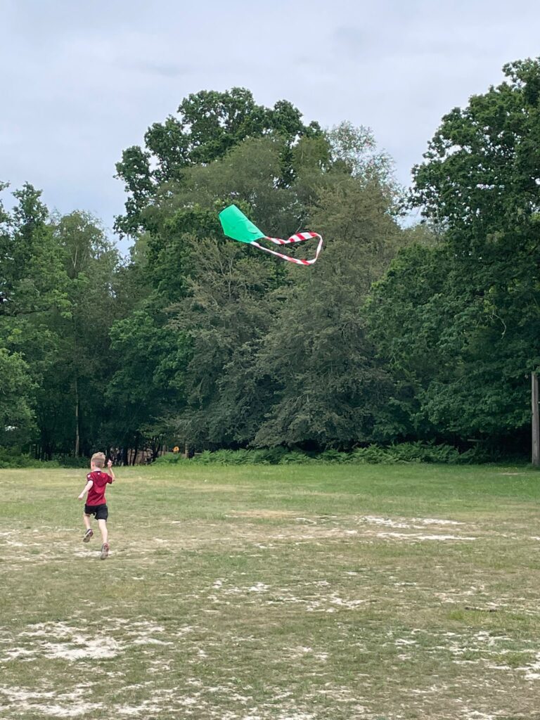 Beaver flying a kite in a field
