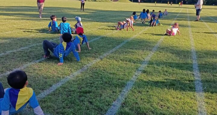 Beavers playing games at the park