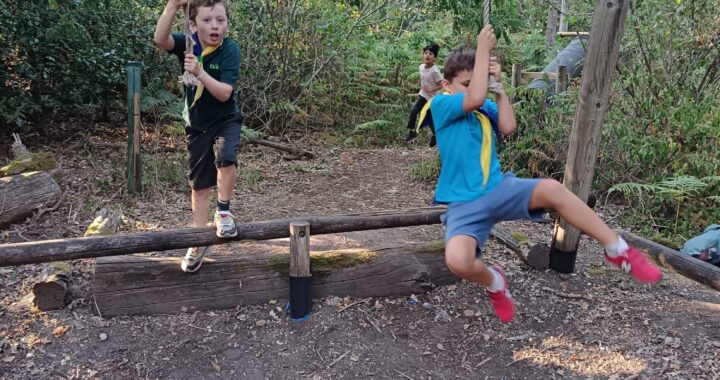 Photo of a Beaver and a Cub swinging on ropes in the assault course at Paddicks Patch