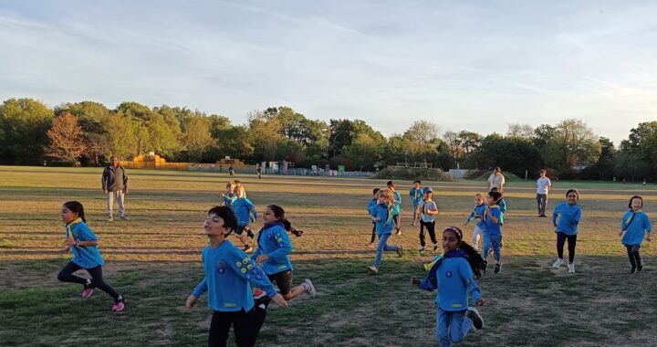 Beavers running at the park